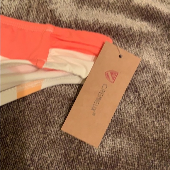 9. Daniel Cremieux Striped Tankini Top and Matching Bottom - Picture 16 of 16